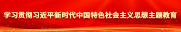 妹妹穴好痒学习贯彻习近平新时代中国特色社会主义思想主题教育